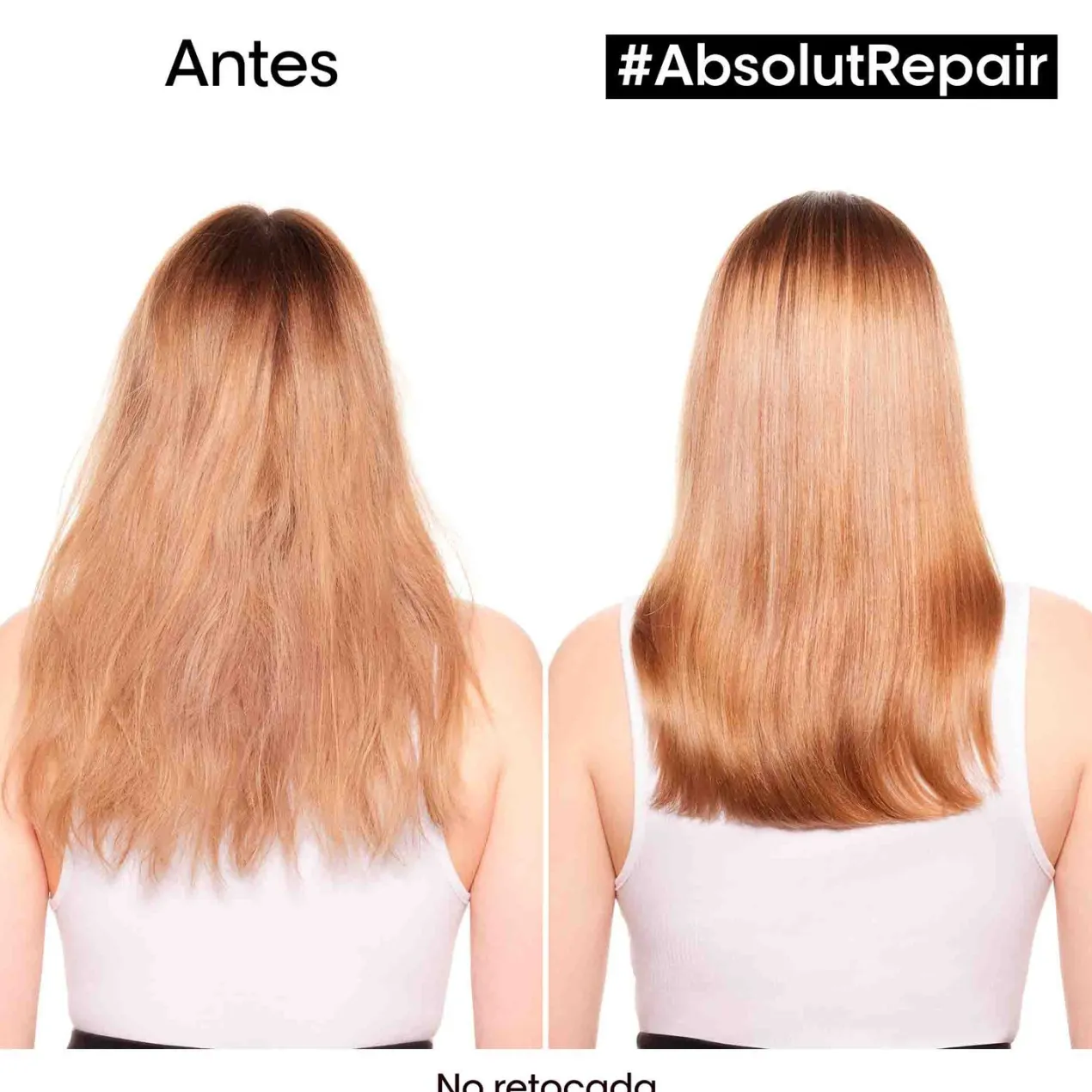 Absolut Repair Aceite 10 en 1