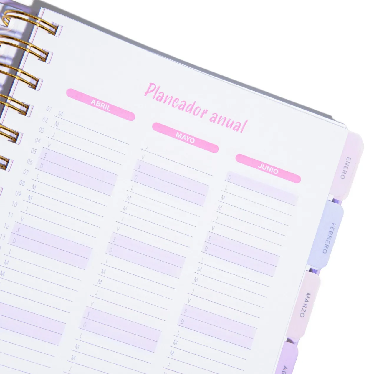 Agenda Amate 2025
