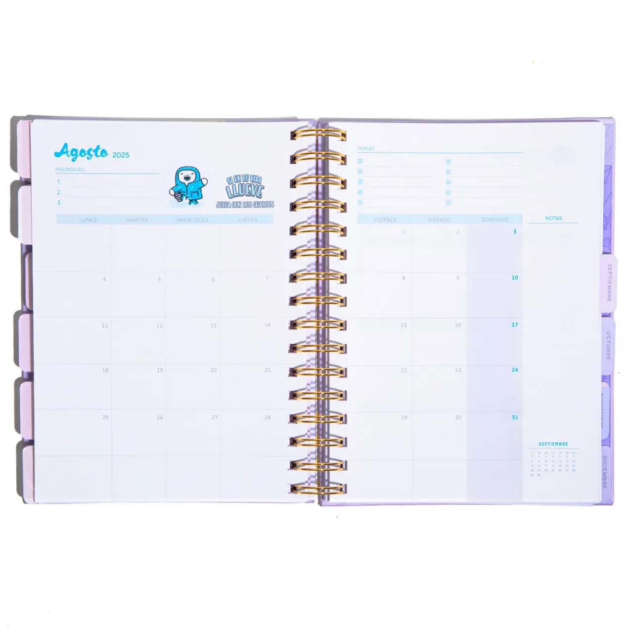 Agenda Amate 2025