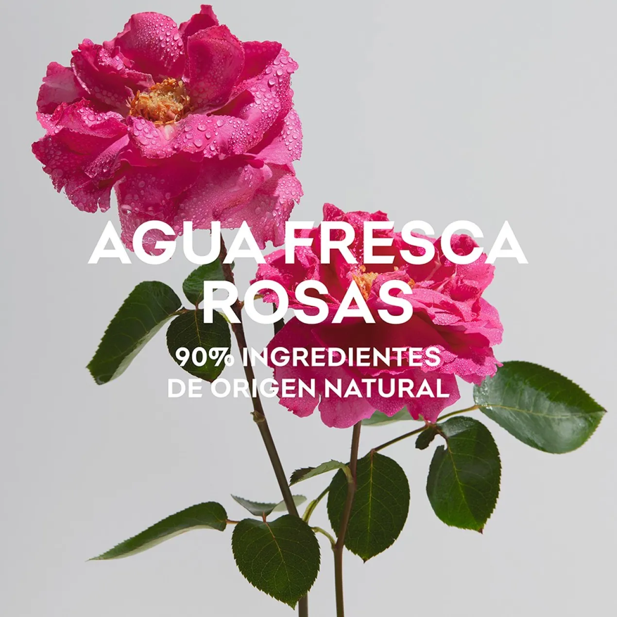 Agua Fresca de Rosas EDT