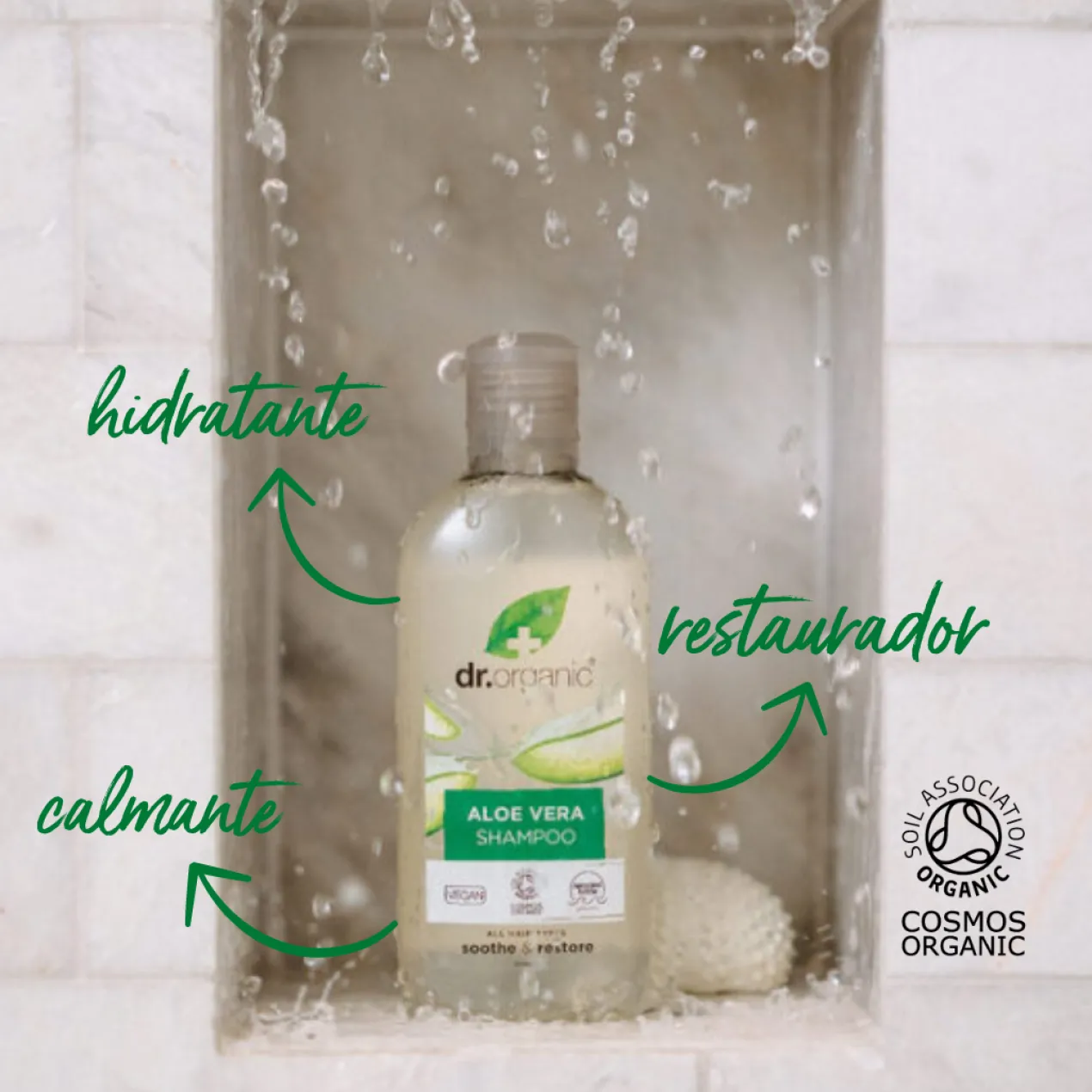 Aloe Vera Champú
