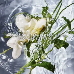 Aqua Allegoria Herba Fresca Eau de Toilette