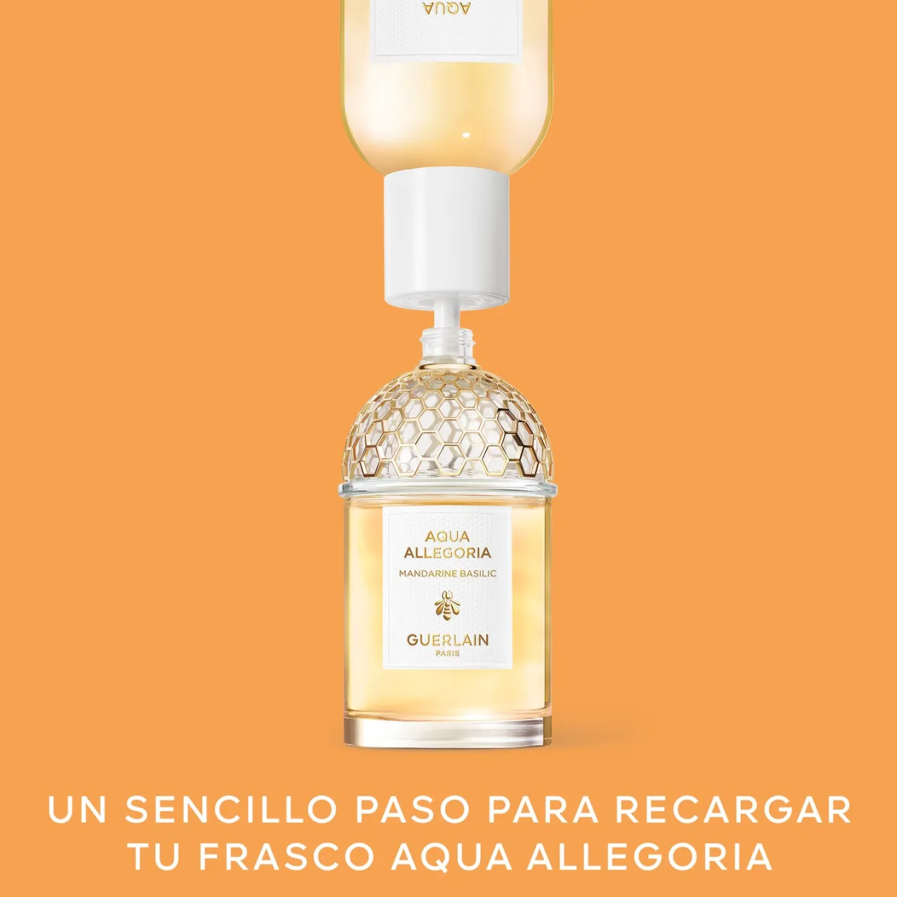 Aqua Allegoria Mandarine Basilic Eau de Toilette