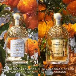 Aqua Allegoria Mandarine Basilic Forte Eau de Parfum