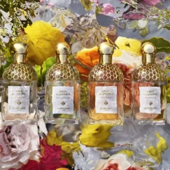 Aqua Allegoria Pamplelune EDT