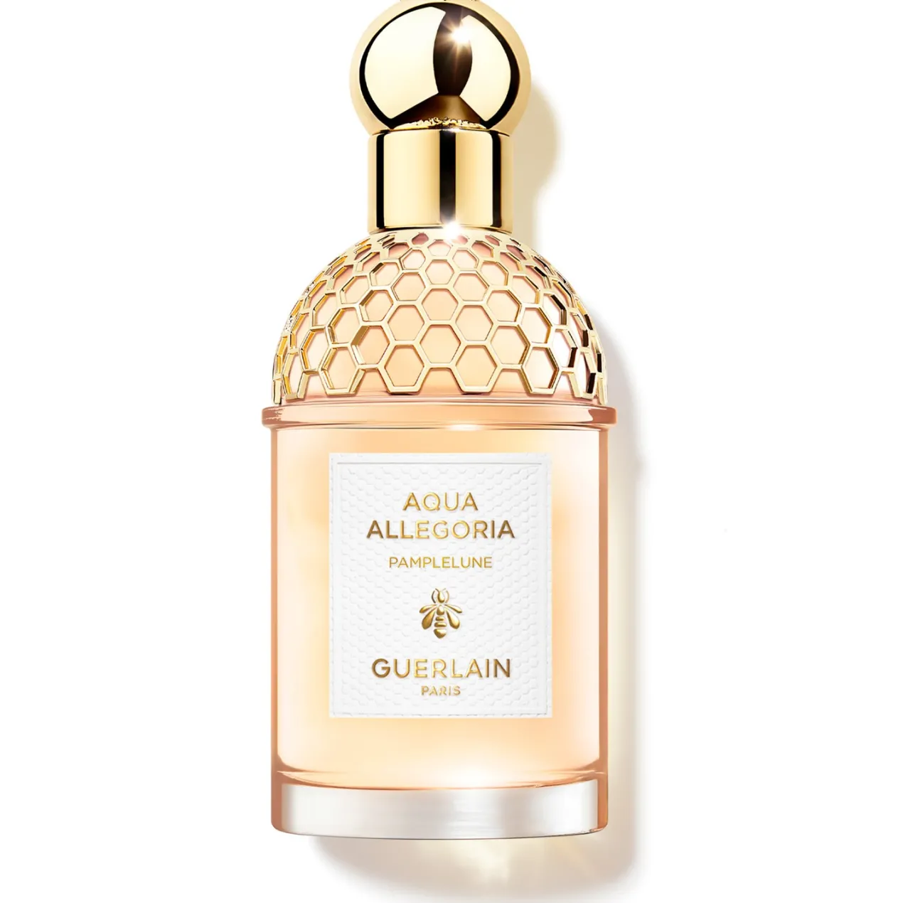 Aqua Allegoria Pamplelune EDT