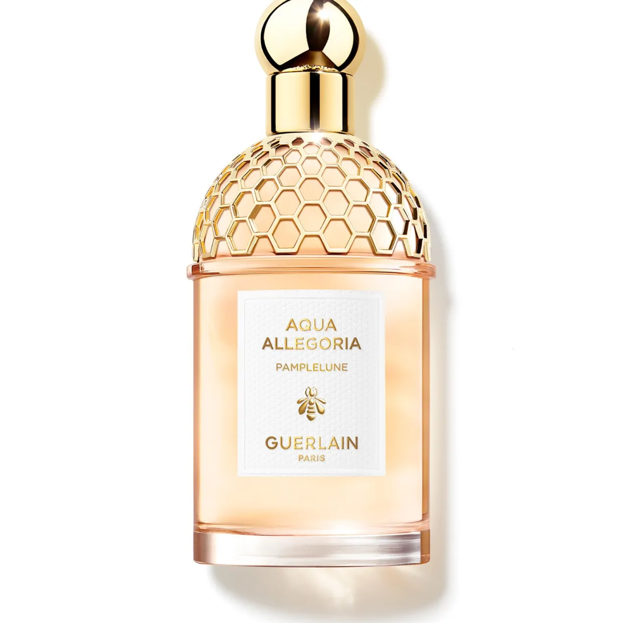 Aqua Allegoria Pamplelune EDT