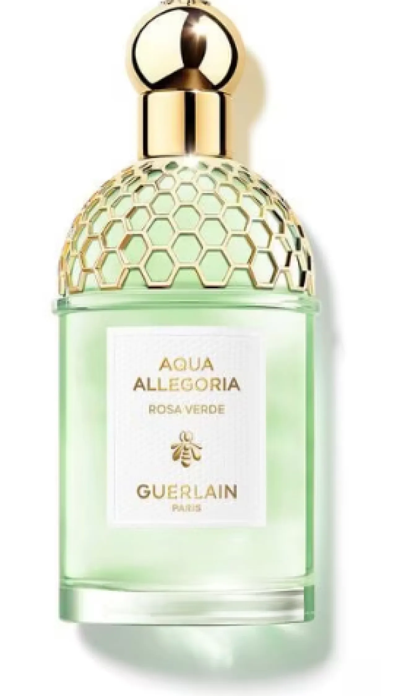 Aqua Allegoria Rosa Verde Eau de Toilette