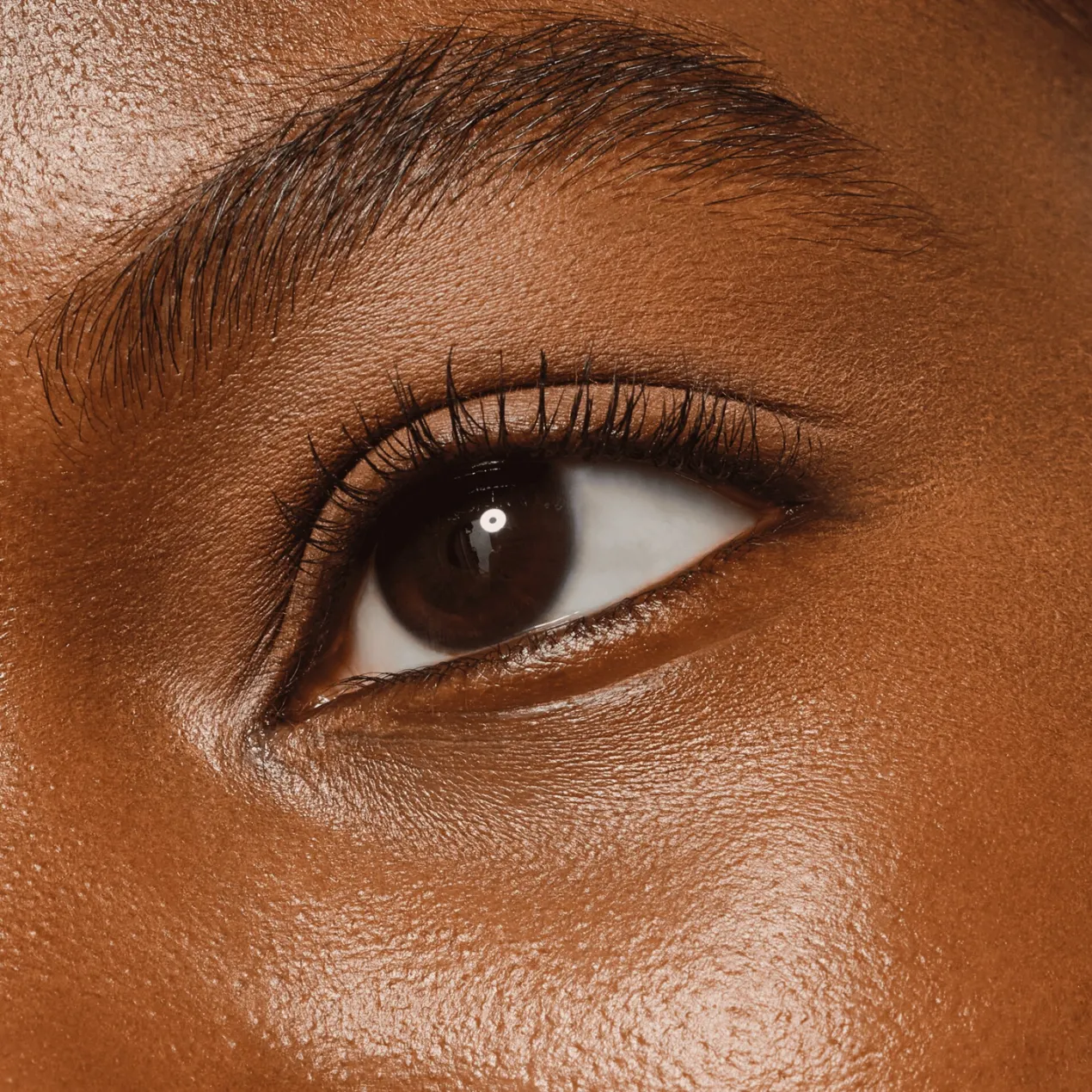 Art Couleurs Sombras de ojos