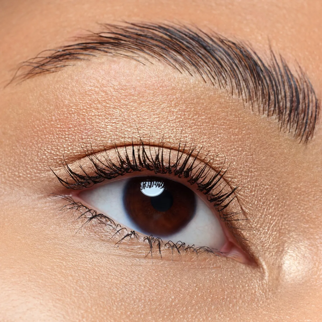 Art Couleurs Sombras de ojos