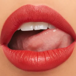 Barra de Labios M·A·Cximal Silky Matte Lipstick