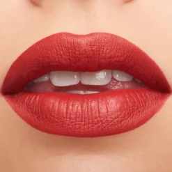 Barra de Labios M·A·Cximal Silky Matte Lipstick