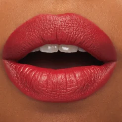 Barra de Labios M·A·Cximal Silky Matte Lipstick