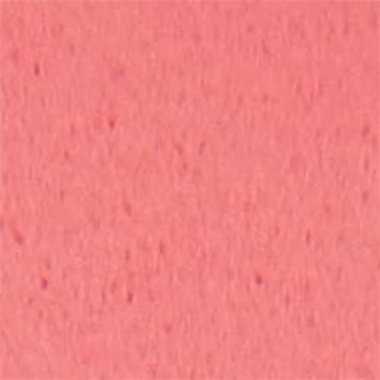 Barra de Labios Mate