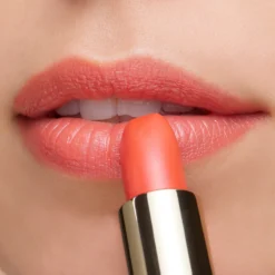 Barra de Labios The Lipstick