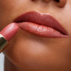 Barra de Labios The Lipstick