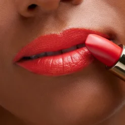 Barra de Labios The Lipstick
