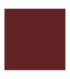 Barra de Labios Vegan Collagen Plumping Color Lipstick