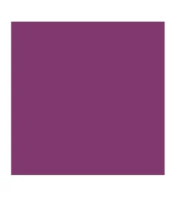 Barra de Labios Vegan Collagen Plumping Color Lipstick