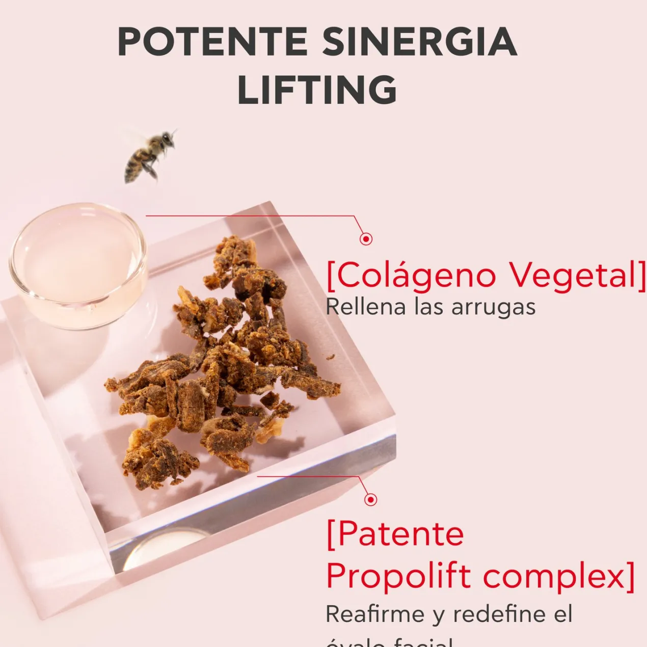Beevine Elixir Sérum Lift Activador de Firmeza