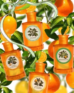 Bergamotto EDT Unisex