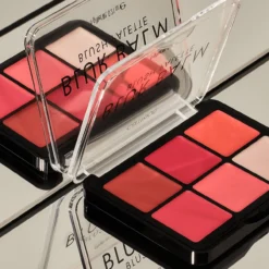 Blur Glam Paleta de Coloretes