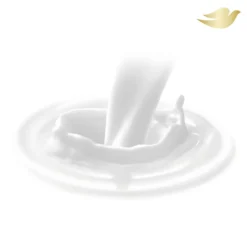 Body Love Loción Corporal Cuidado Restaurador