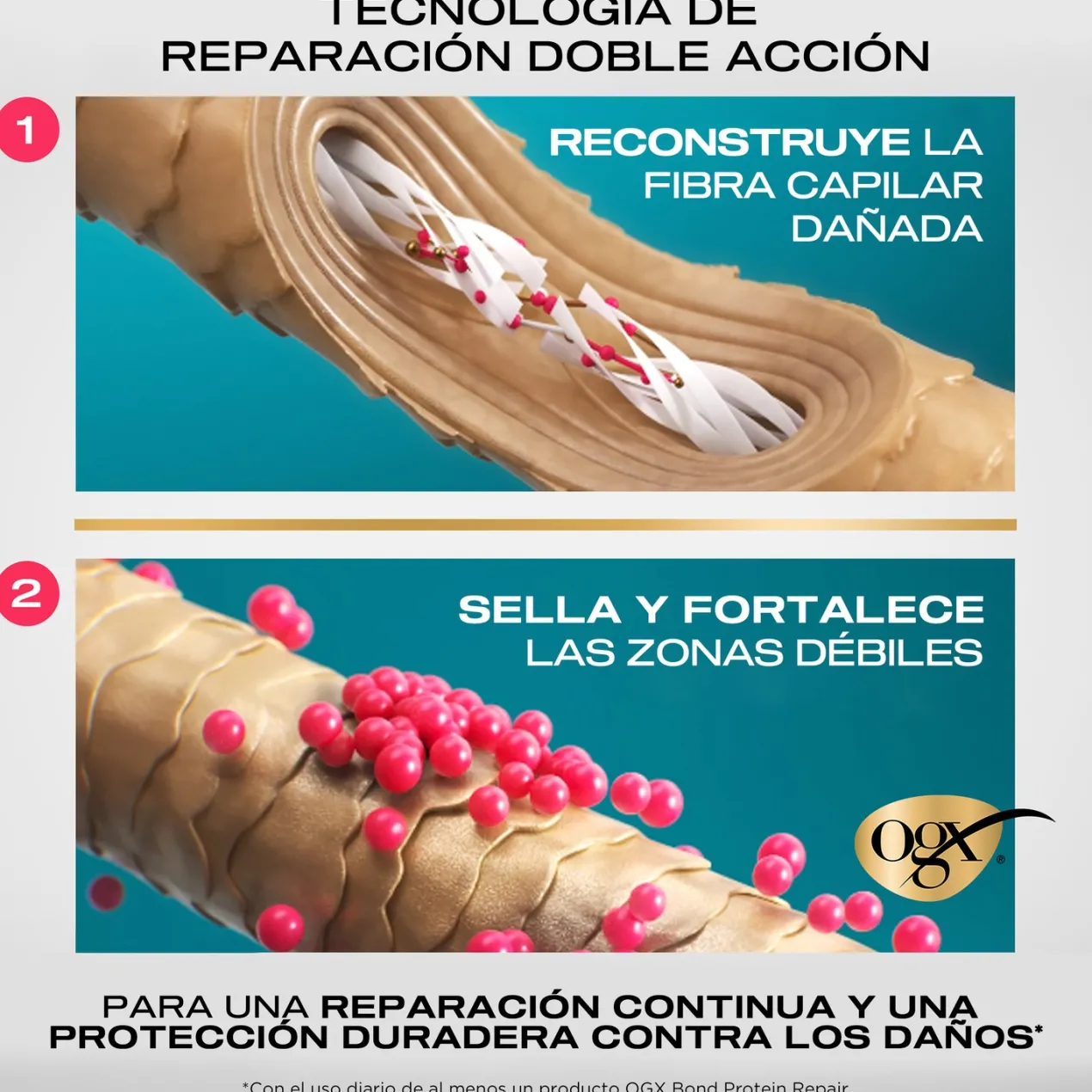 Bond Protein Repair Aceite para Cabello 3 en 1