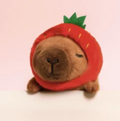 Capybara Charm