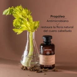 Champú Anticaspa Seca