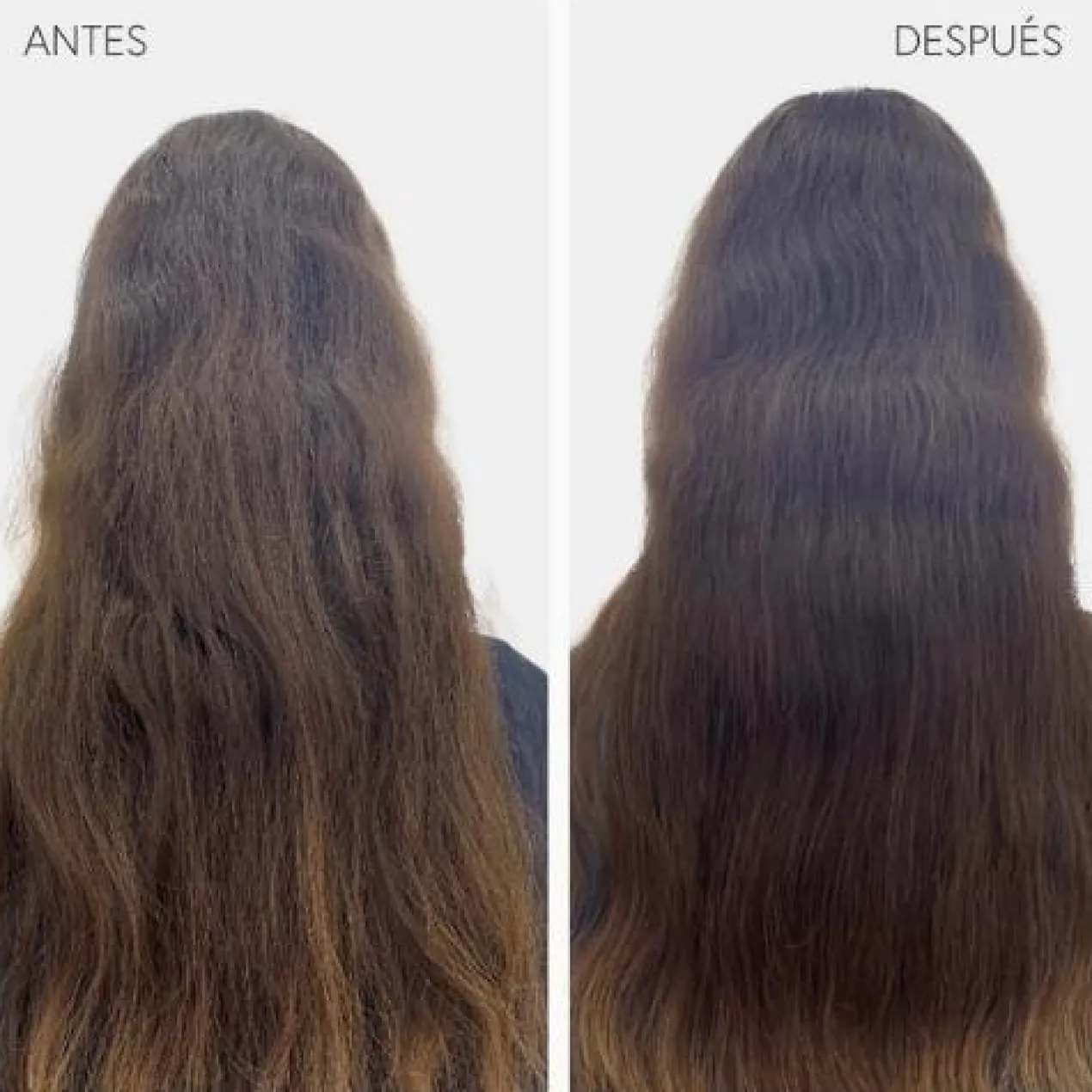 Champú Bathman Detox Hair