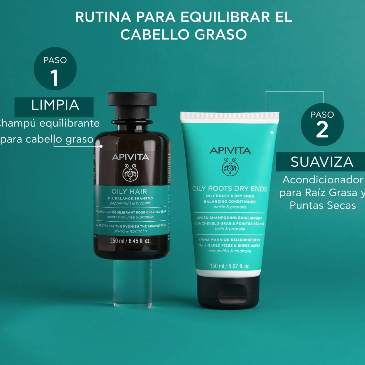Champú Cabello Graso