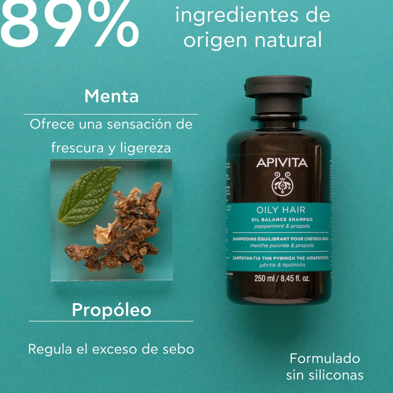 Champú Cabello Graso