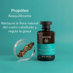 Champú Cabello Graso