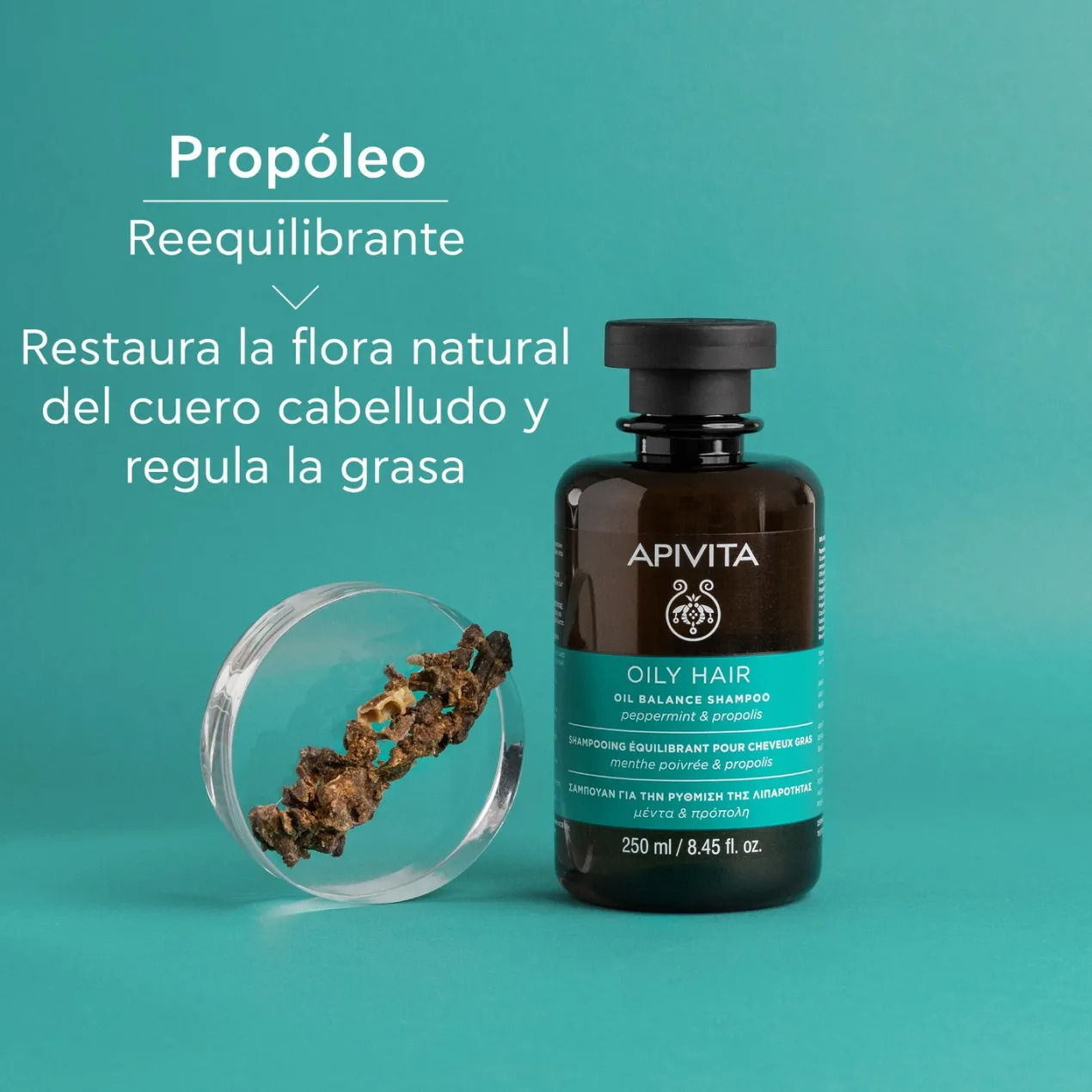 Champú Cabello Graso