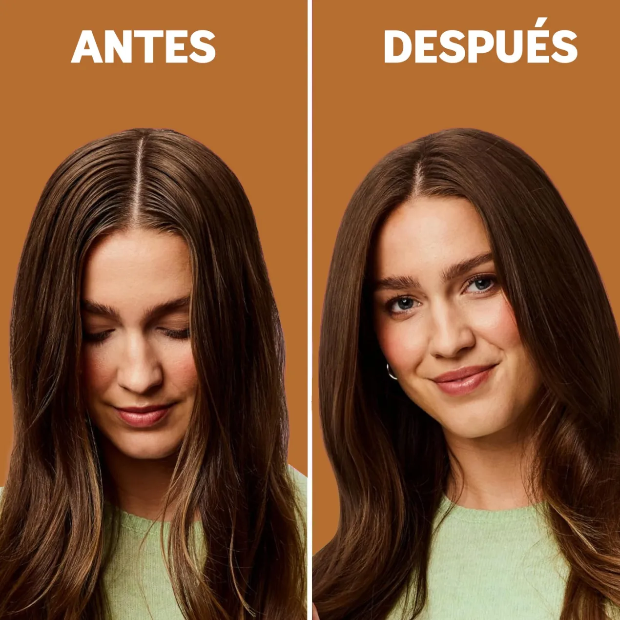Champú en Seco con Color para Castañas