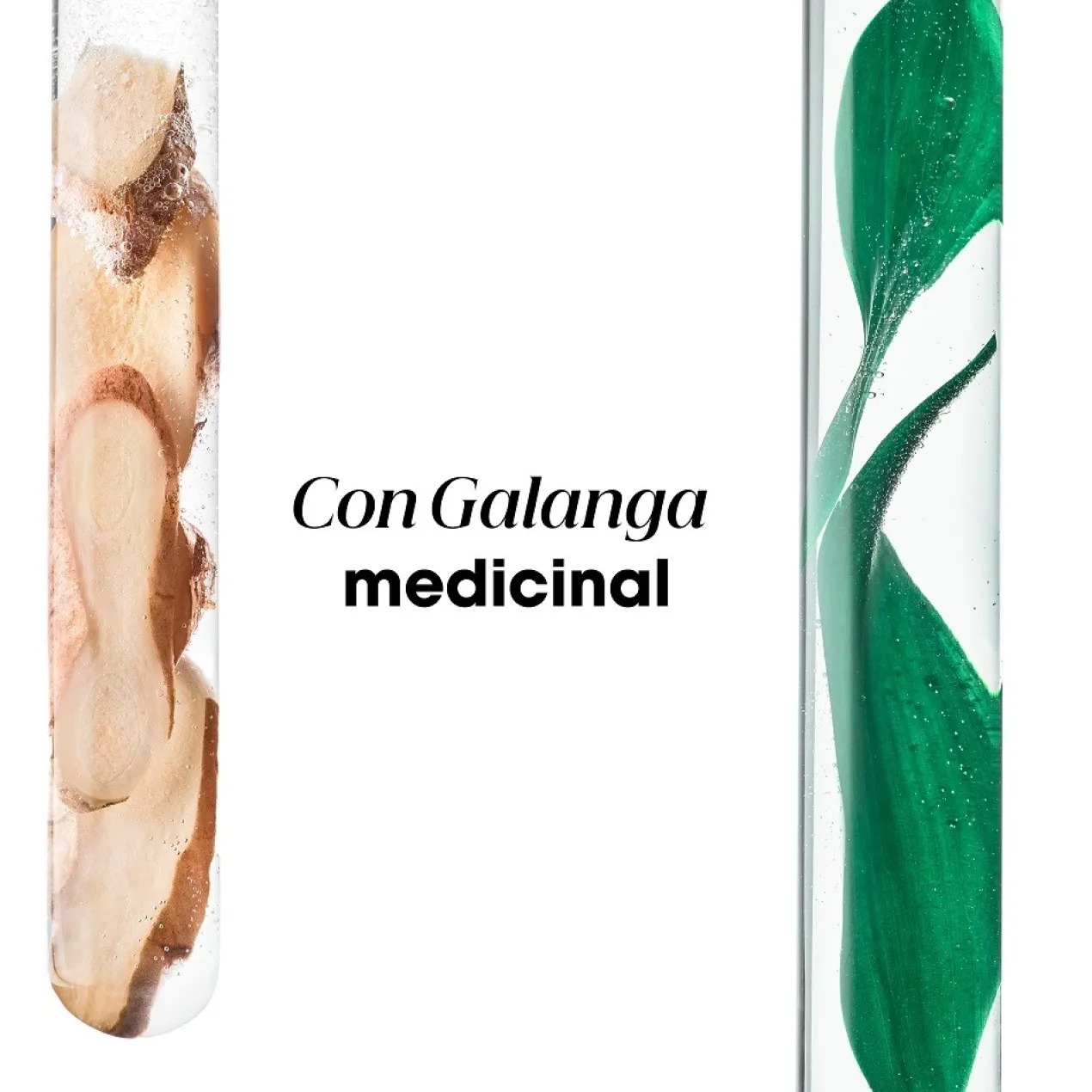 Champú Galanga Anticaspa Cuero Cabelludo