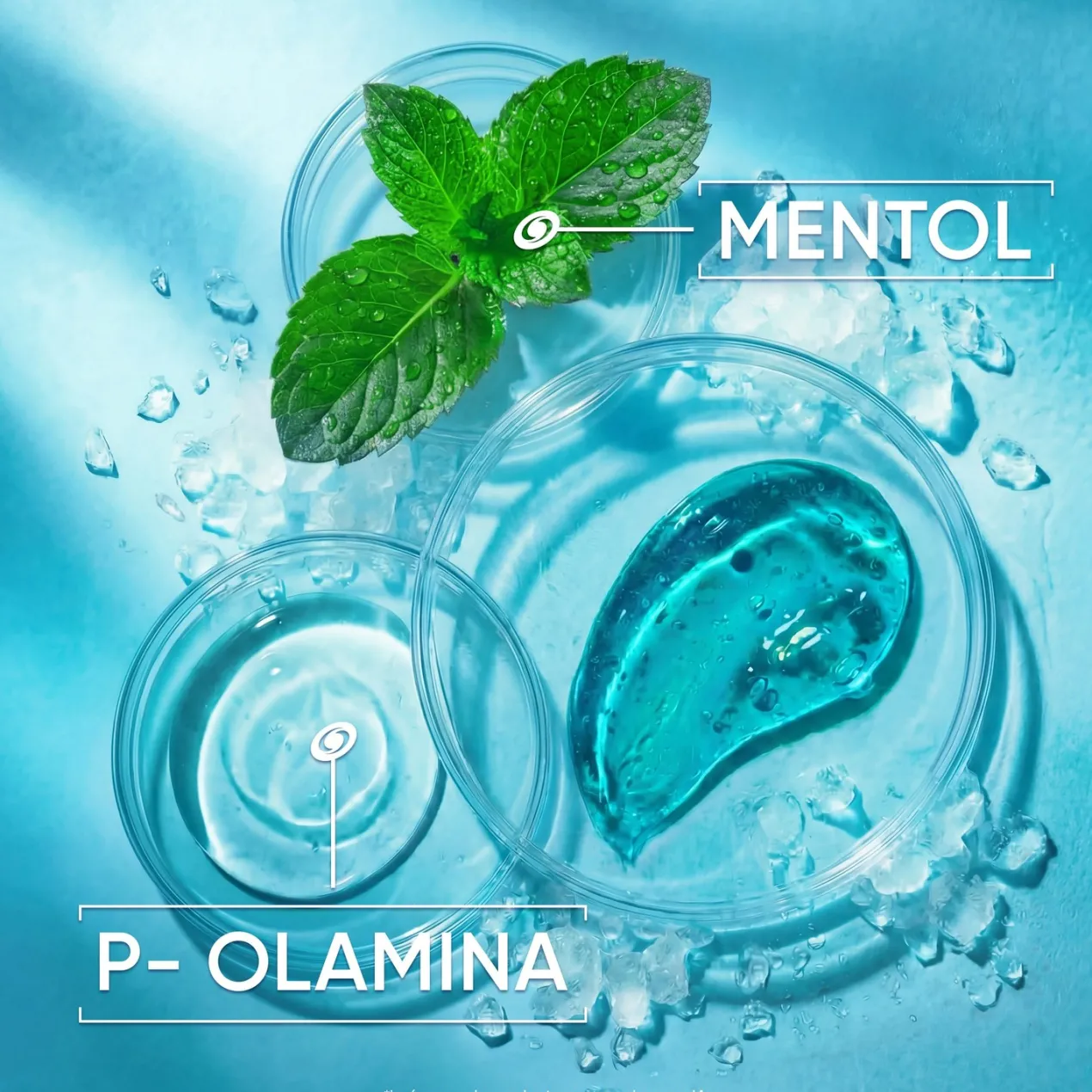 Champú Menthol Fresh