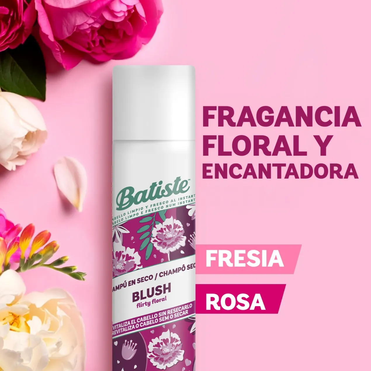 Champu Seco Blush