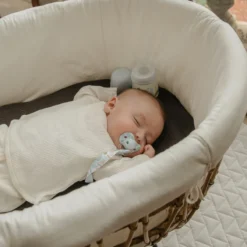 Chupete Fisiológico SX PRO 6-18 Meses