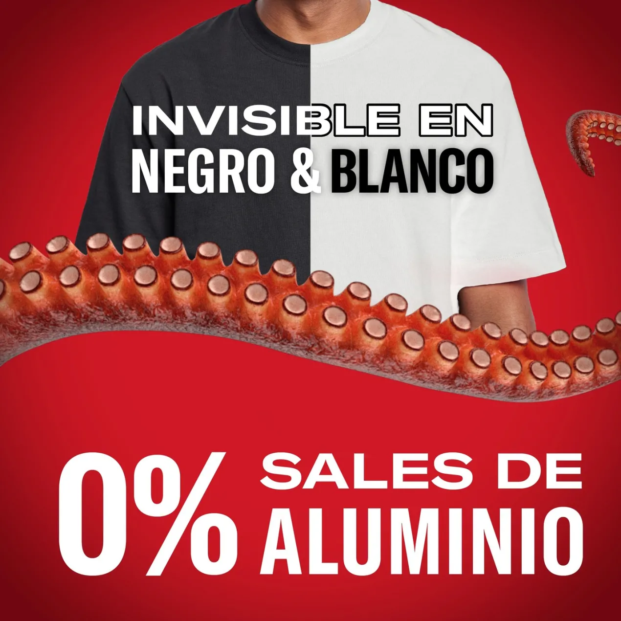 Cofre del Tesoro Set de Regalo