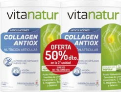 Colágeno Hidrolizado Vitanatur Collagen Antiox Plus