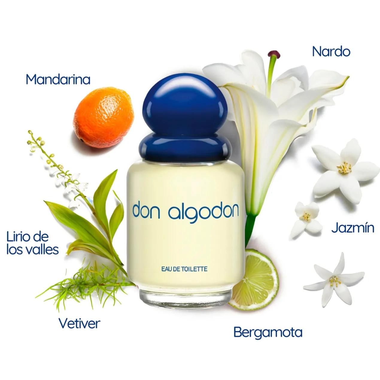 Colonia Don Algodón