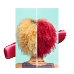 Color Fresh Mask Color Temporal