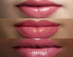 Color Riche Shine Barra de Labios