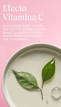Contorno de Ojos Alisante de Rosa Mosqueta y Té Blanco