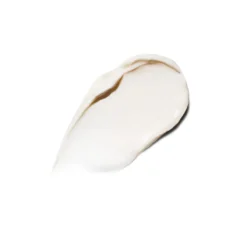 Crema de Noche The Rejuvenating Night Cream