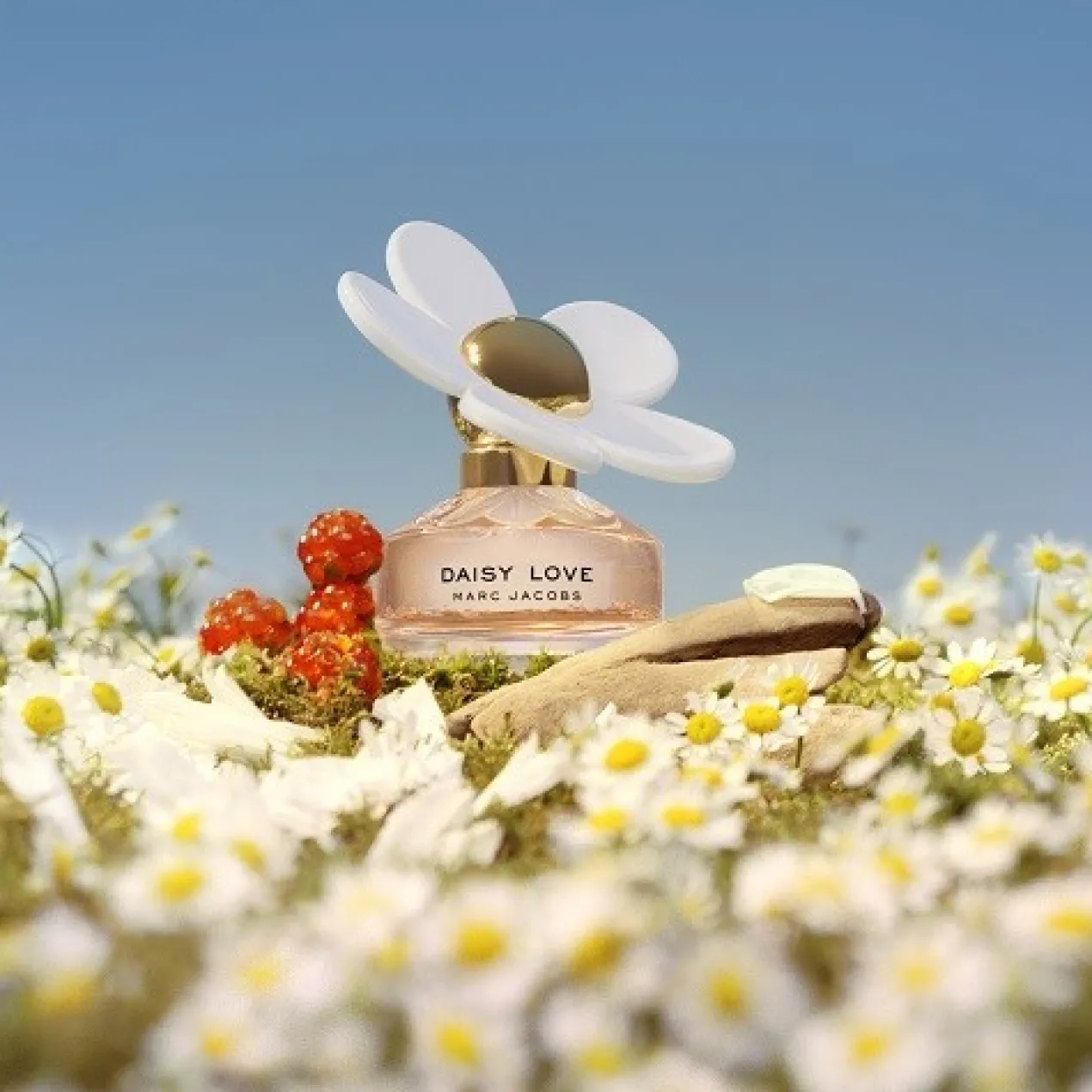 Daisy Love EDT