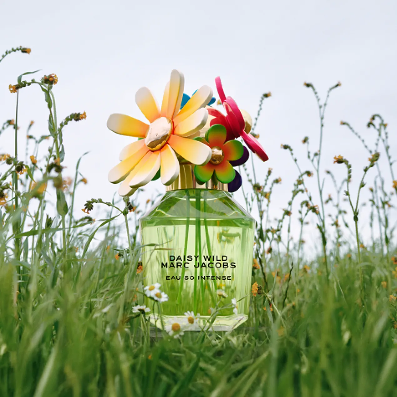 Daisy Wild Eau So Intense Eau de Parfum