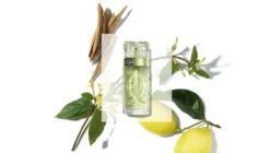 Ô de Lancôme Eau de Toilette